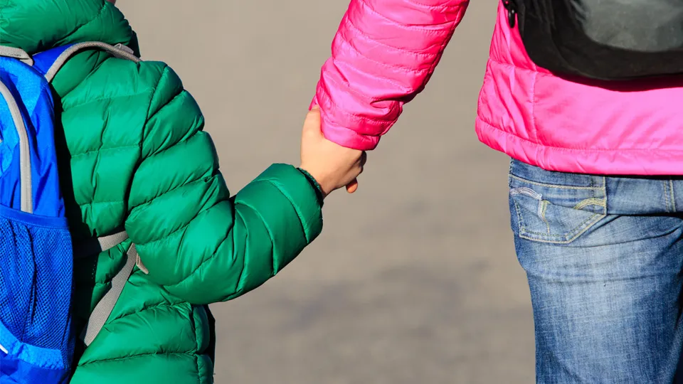 Фото: istockphoto.com/Nadezhda1906