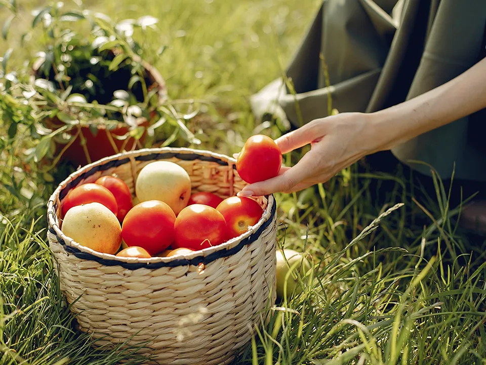 Фото: freepik.com