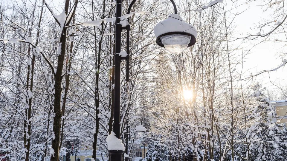 Фото: медиасток.рф