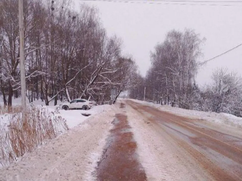 Деревня Монасеино. Фото: пресс-служба администрации м.о. Лотошино