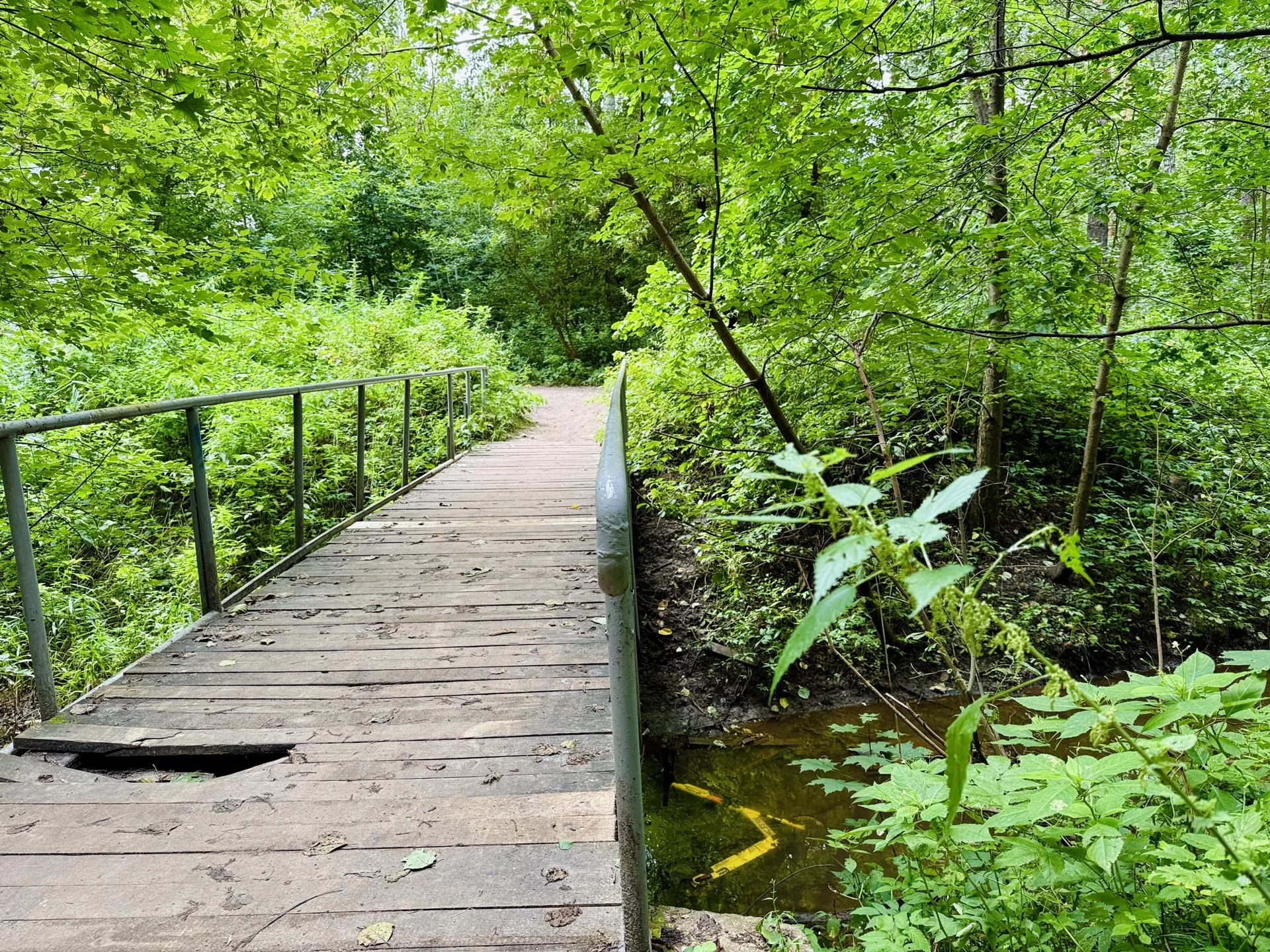 Фото: Ольга Стаферова