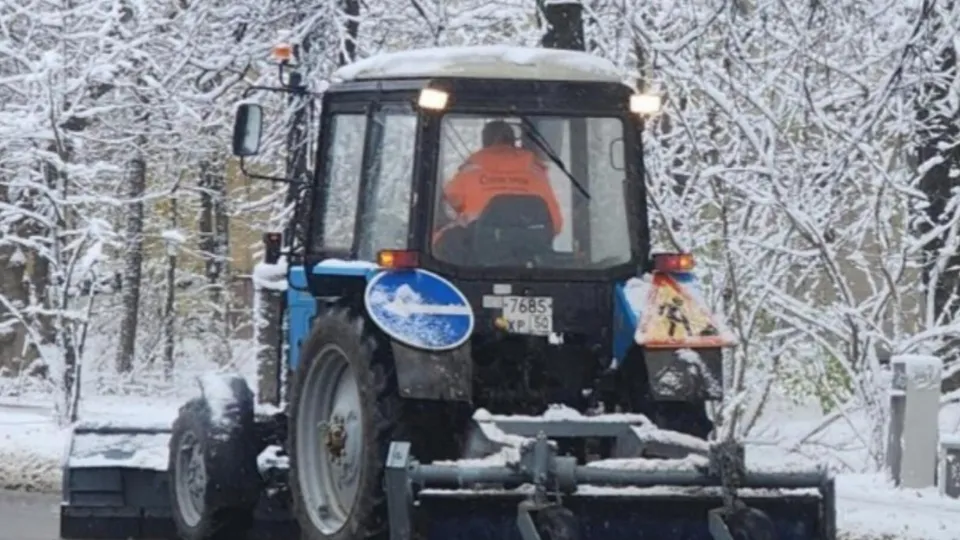 Фото: REGIONS/Хавива Фонина