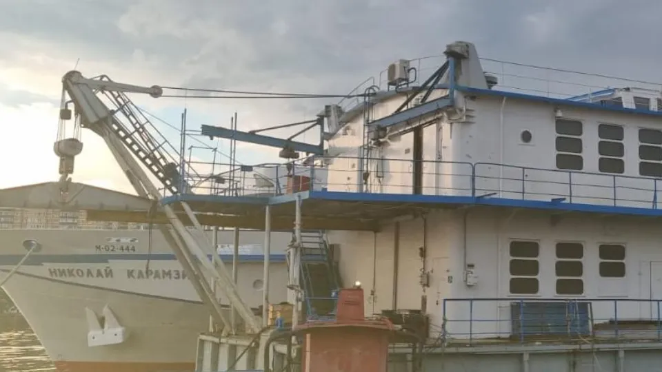 Фото: пресс-служба ГУФССП России по Московской области