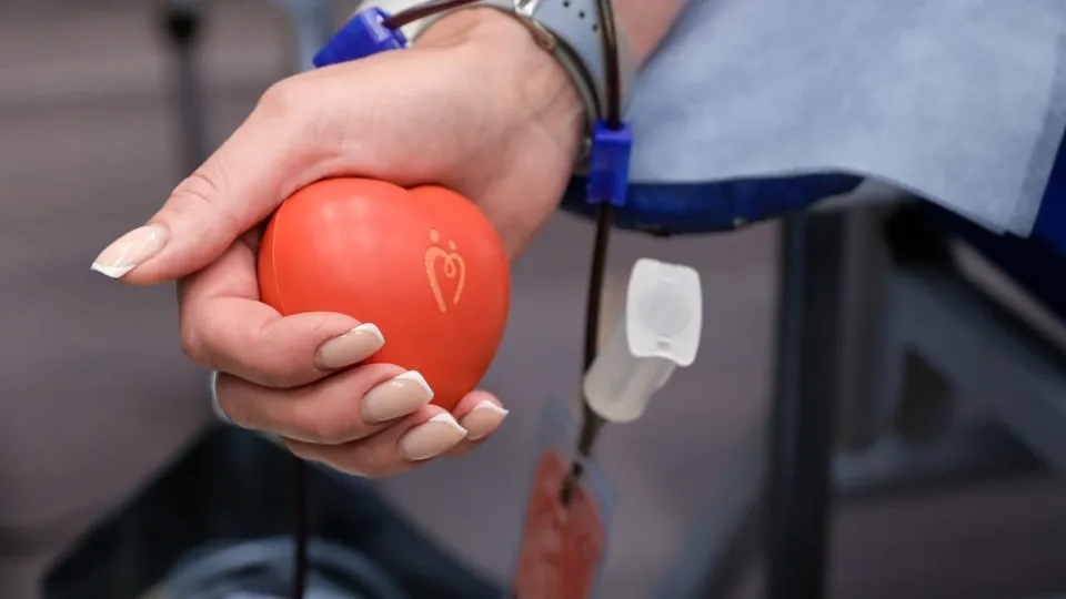 Фото: ГБУЗ МО «Домодедовская больница»