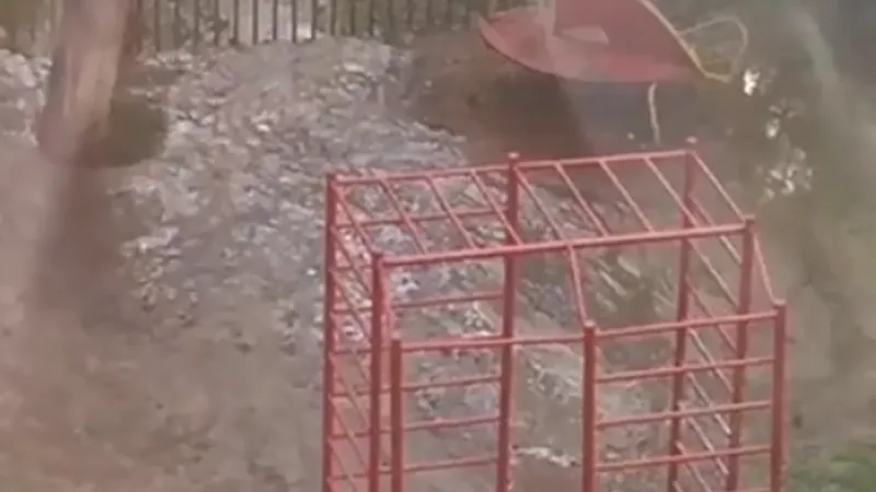 Канализационные стоки затопили детский сад в Одинцове