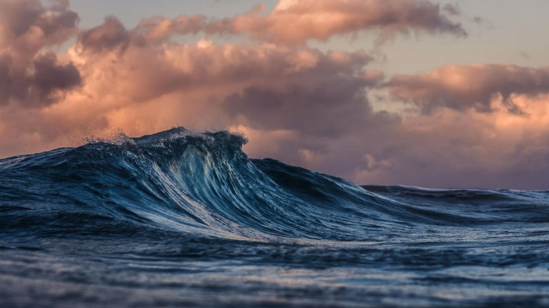 Unsplash