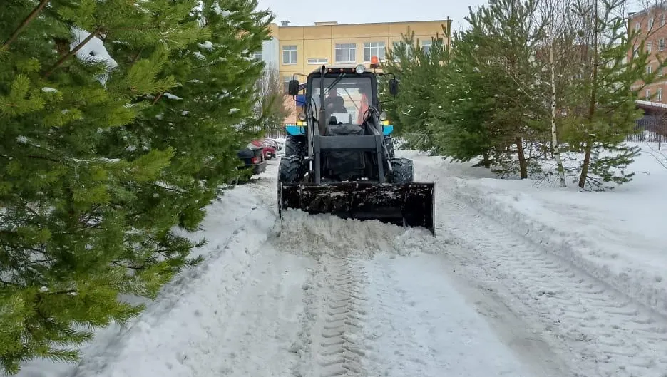 фото: МБУ «Чеховское благоустройство»