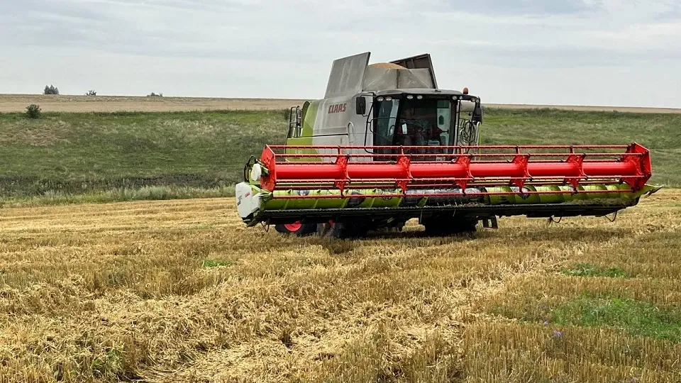 Фото: пресс-служба министерства сельского хозяйства и продовольствия Московской области