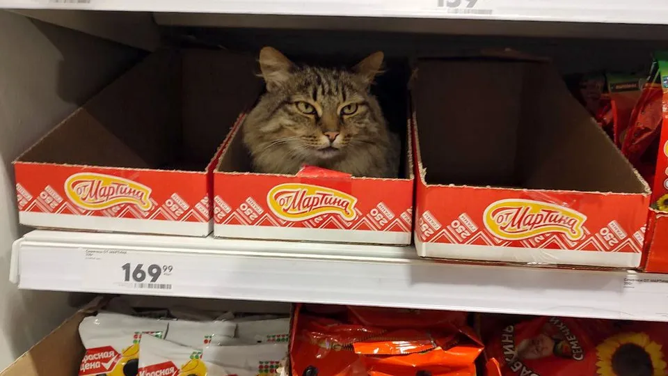 Фото: REGIONS/Елена Забелина