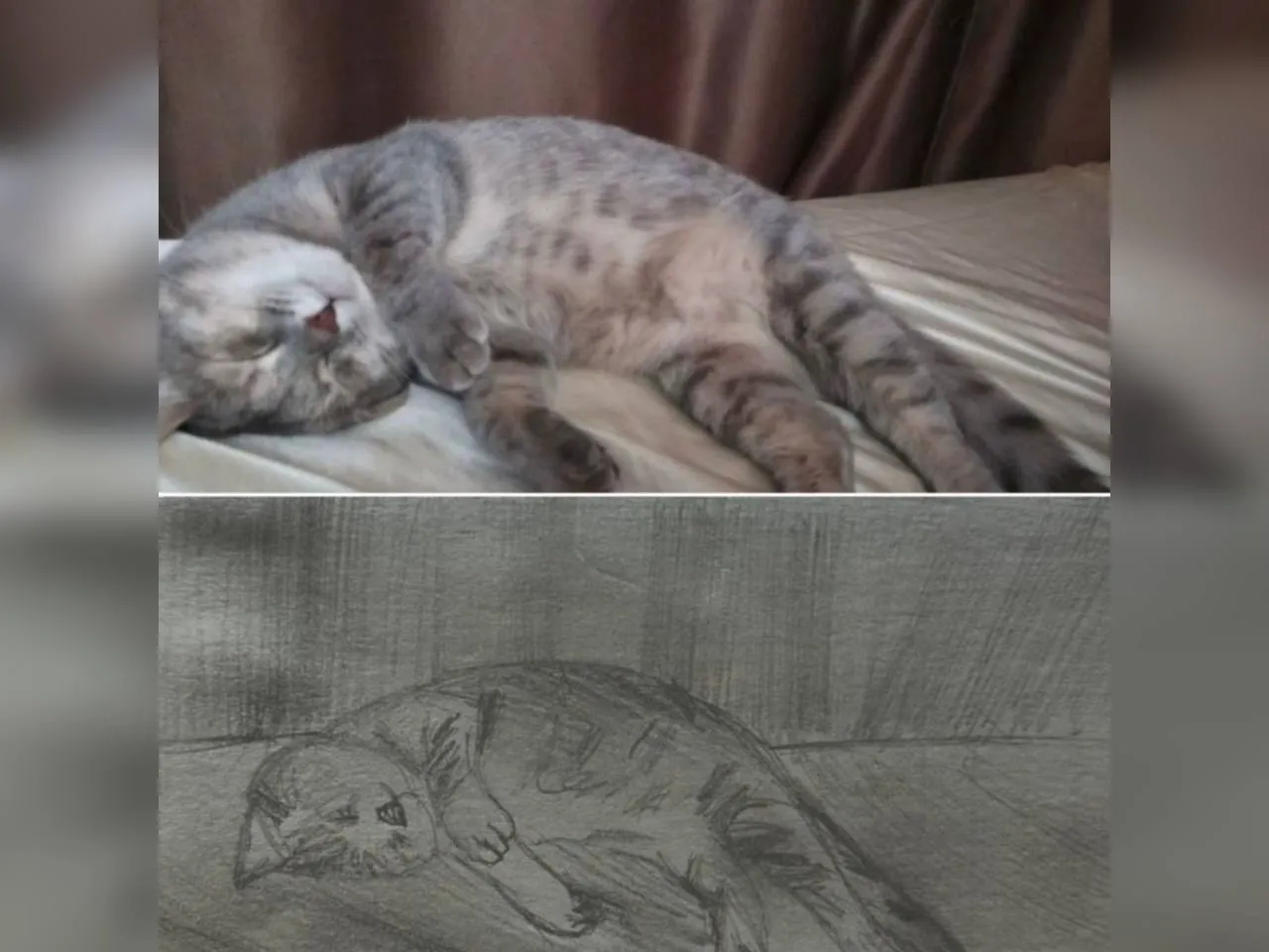 Фото: городская доска объявлений&nbsp;