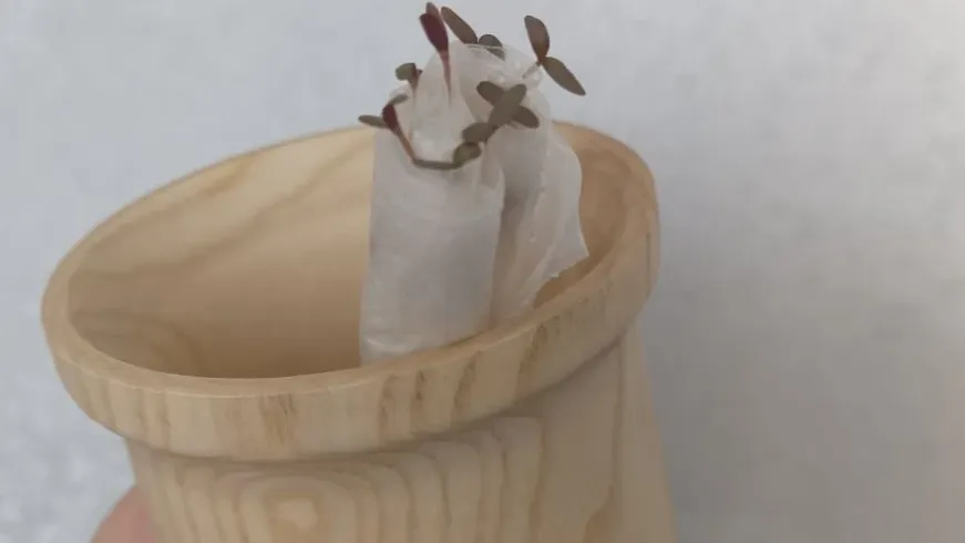 REGIONS/Наталья Пичугина