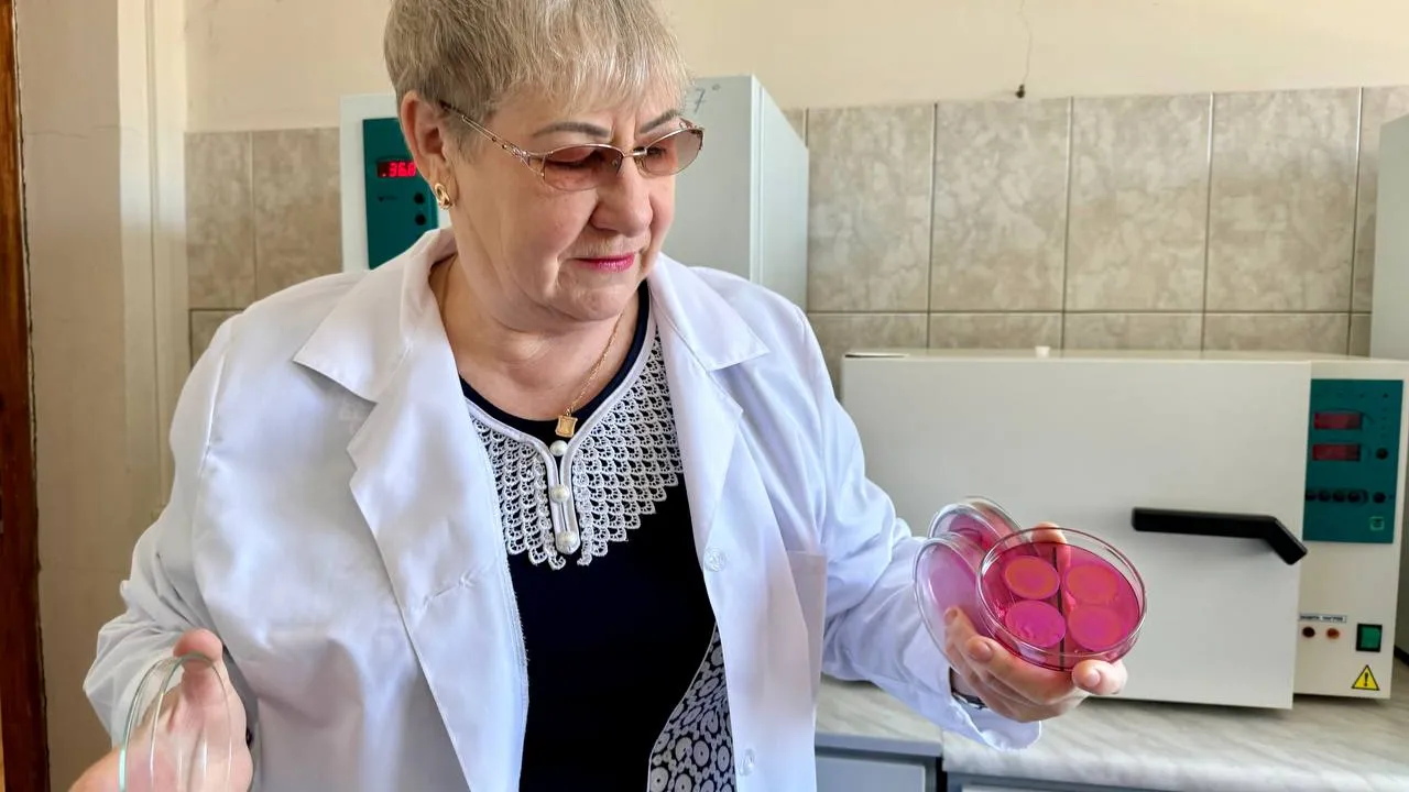 Фото: Пресс-служба администрации г.о. Можайск