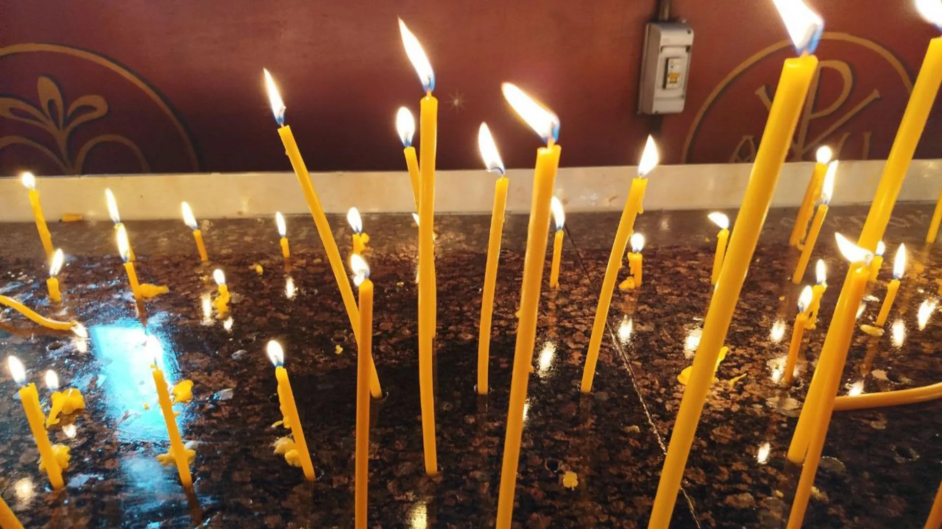 Фото: REGIONS/Юлия Куделькина