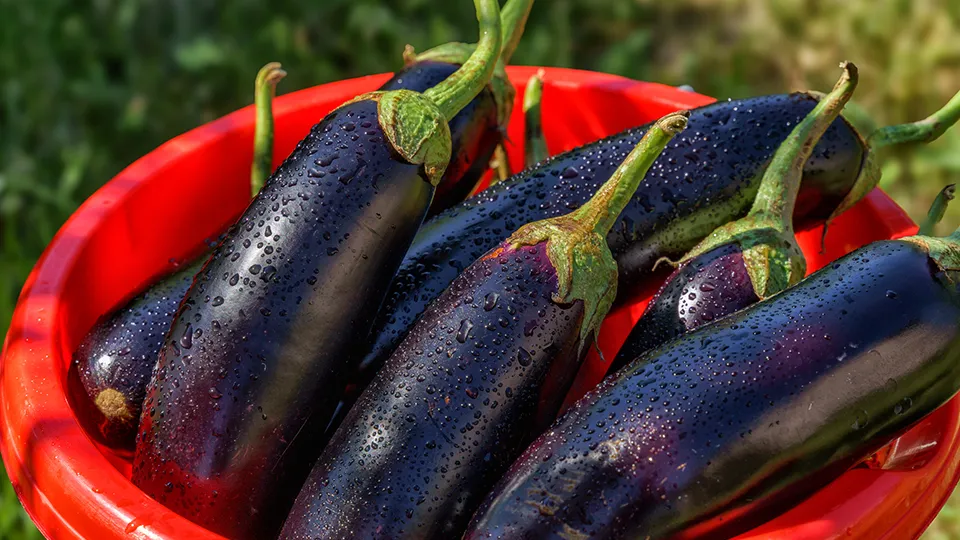 Фото: istockphoto.com