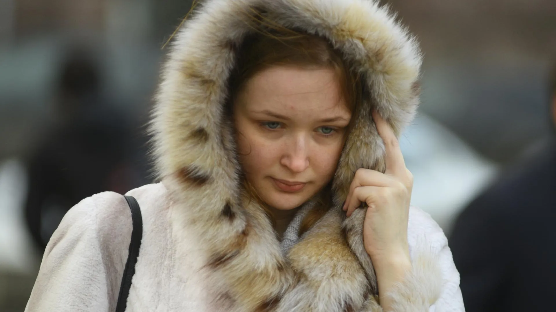 медиасток.рф