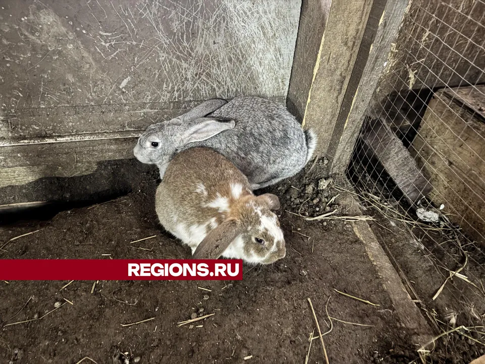 Фото: Татьяна Рунова