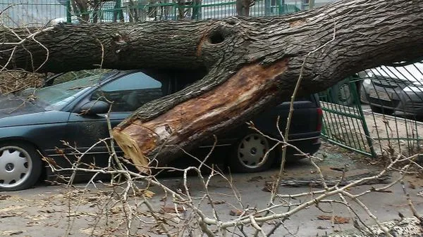 Александр Рацимор / РИА Новости