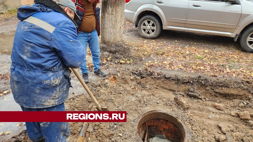 Фото: Дмитрий Алексеенко