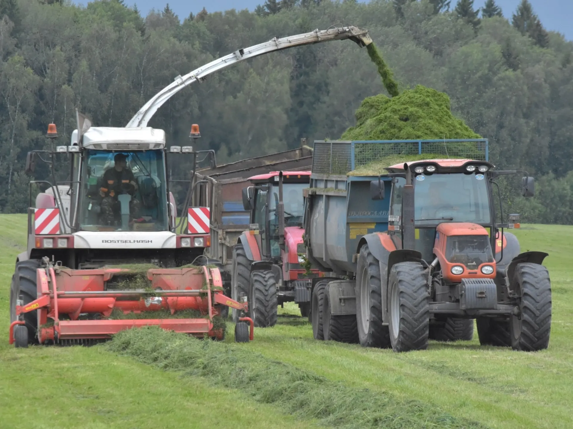 Фото: пресс-служба администрации Наро-Фоминского г.о.&nbsp; &nbsp; &nbsp; &nbsp; &nbsp;&nbsp;