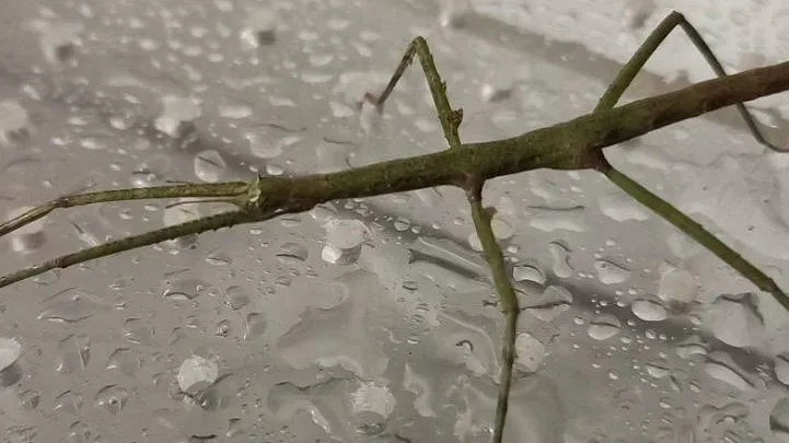 Фото: городская доска объявлений