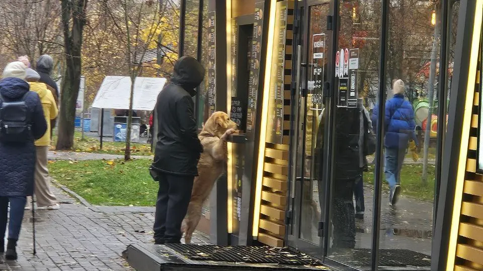 Фото: t.me/reutov_today