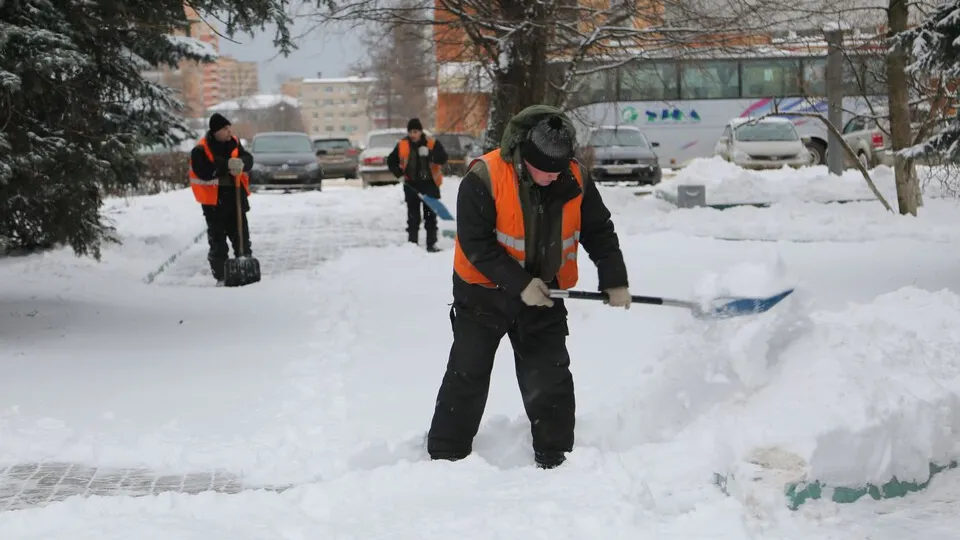 Фото: медиасток.рф