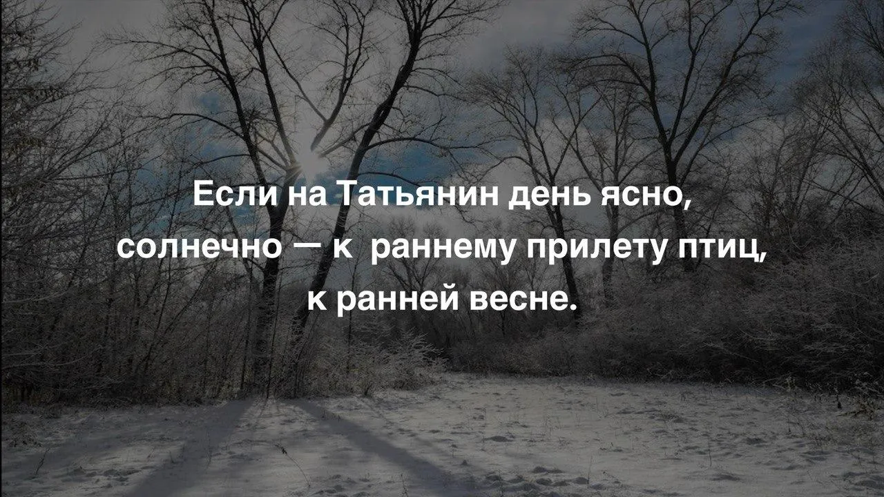 Коллаж: Unsplash