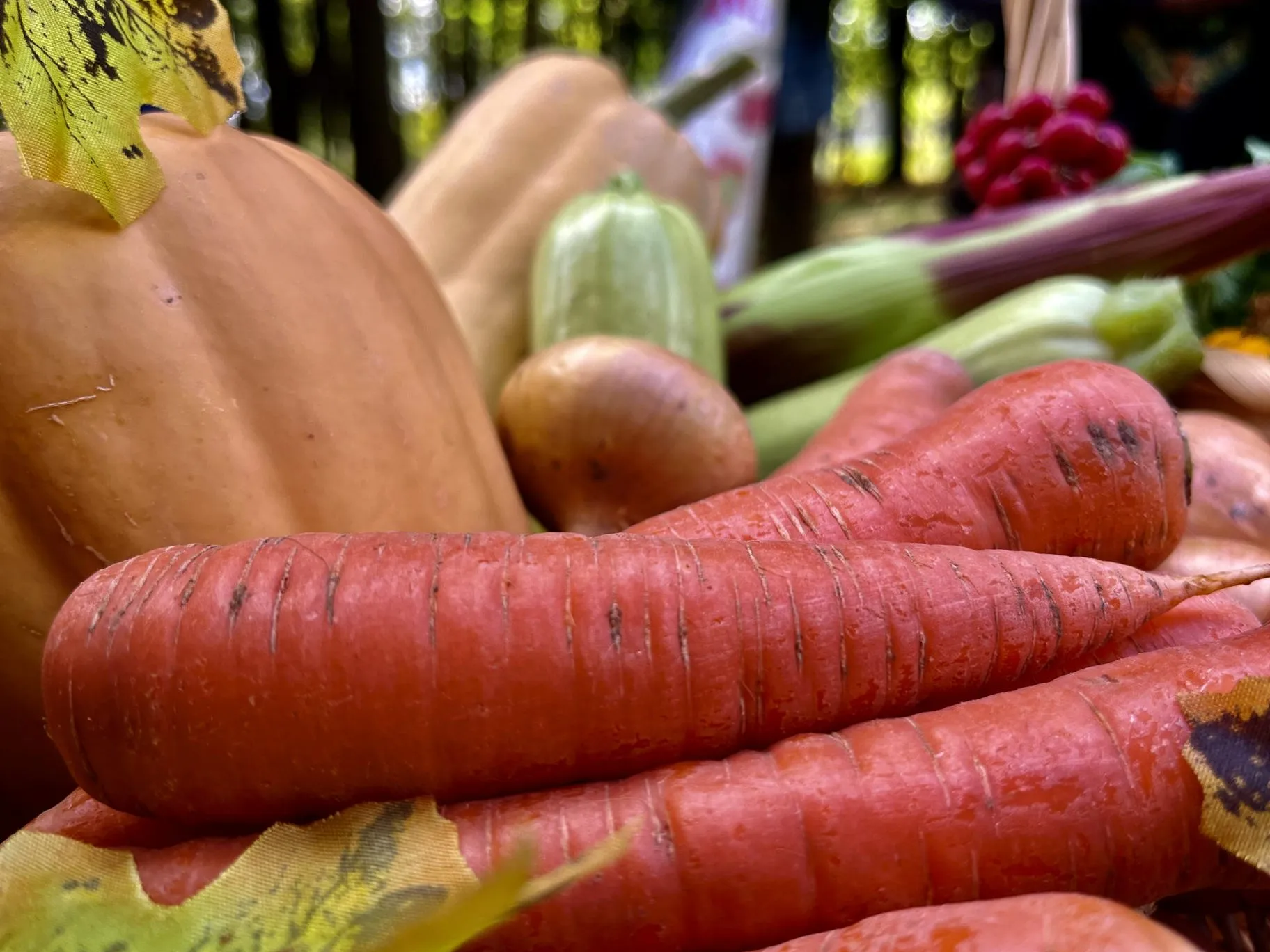 Фото: Анна Тюрюмина&nbsp; &nbsp; &nbsp; &nbsp; &nbsp;&nbsp;