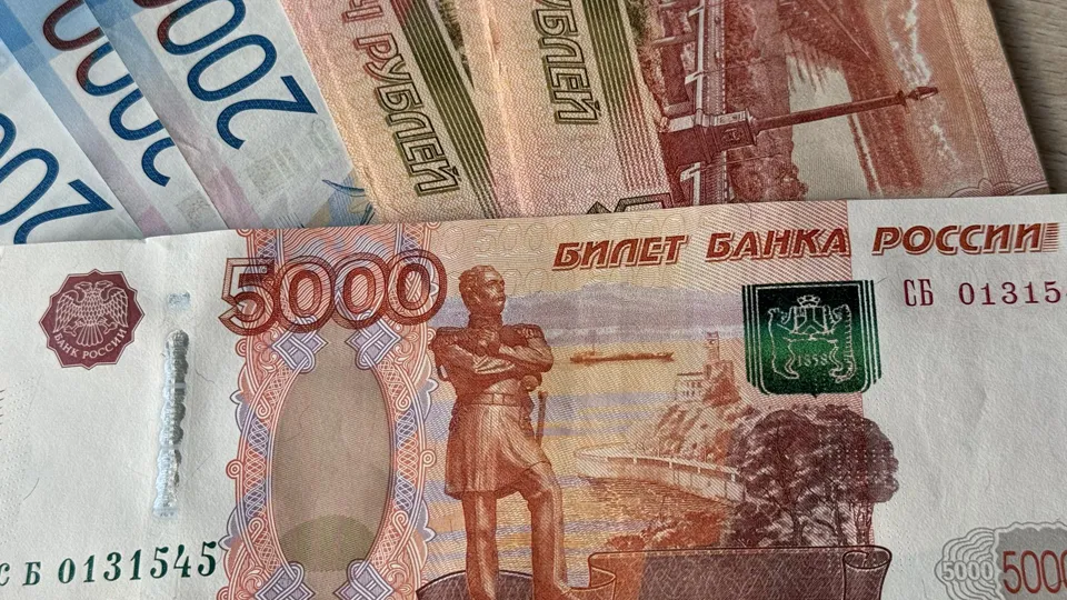 Фото: Министерство экономики и финансов Московской области