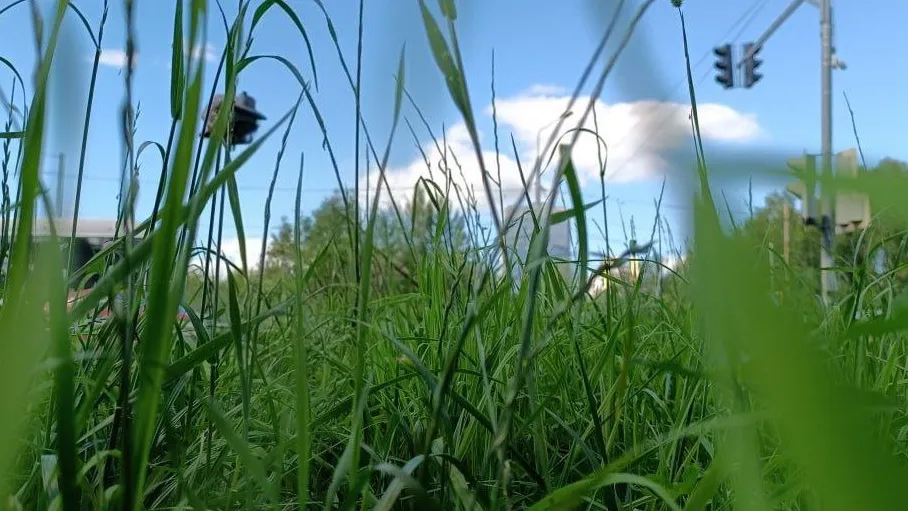 Фото: МедиаБанк Подмосковья/Екатерина Дятловская
