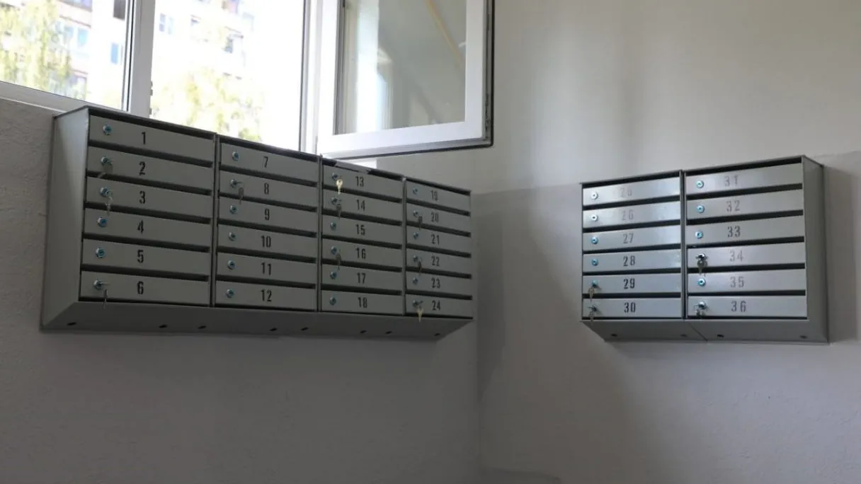 Фото: пресс-служба администрации Наро-Фоминского г.о.