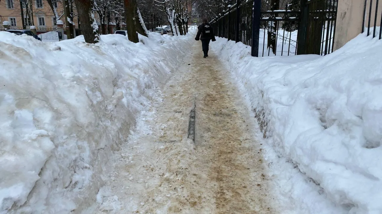 фото, видео: Елена Лабзина