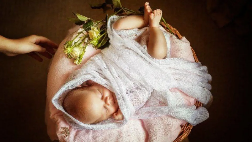 Фото: Министерство социального развития Московской области