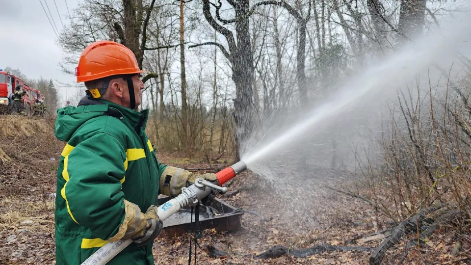 Фото: REGIONS/Наталья Дорошева