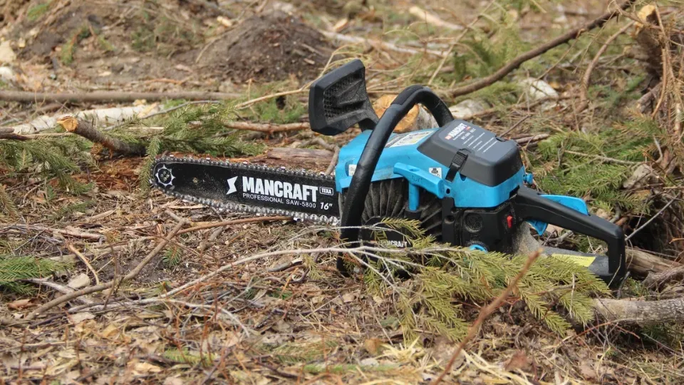 Фото: REGIONS/Василий Тремасов