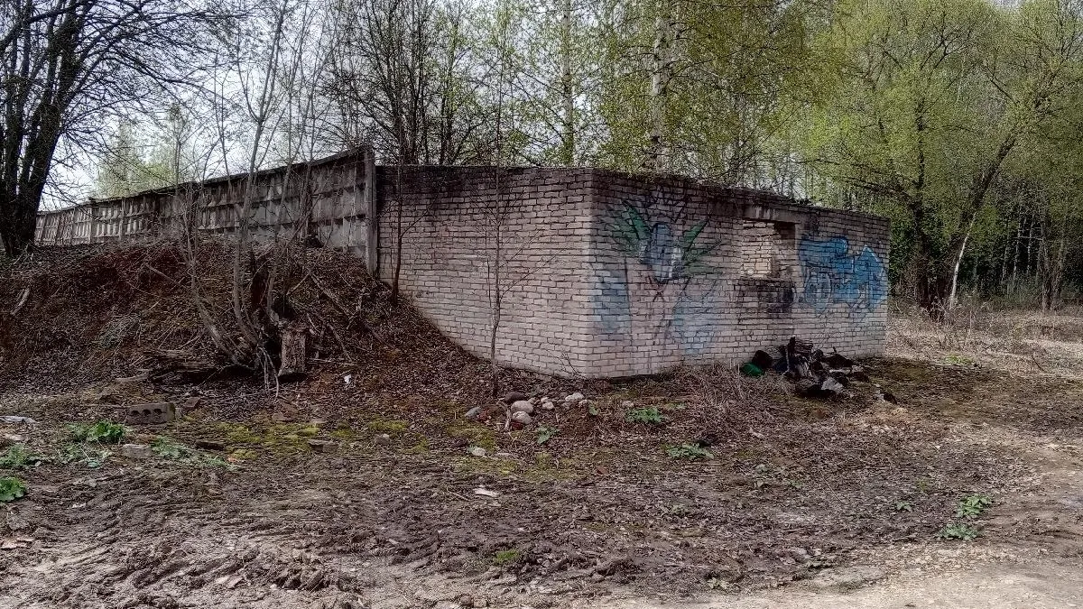 Фото: vmeste.mosreg.ru/UserFromMain