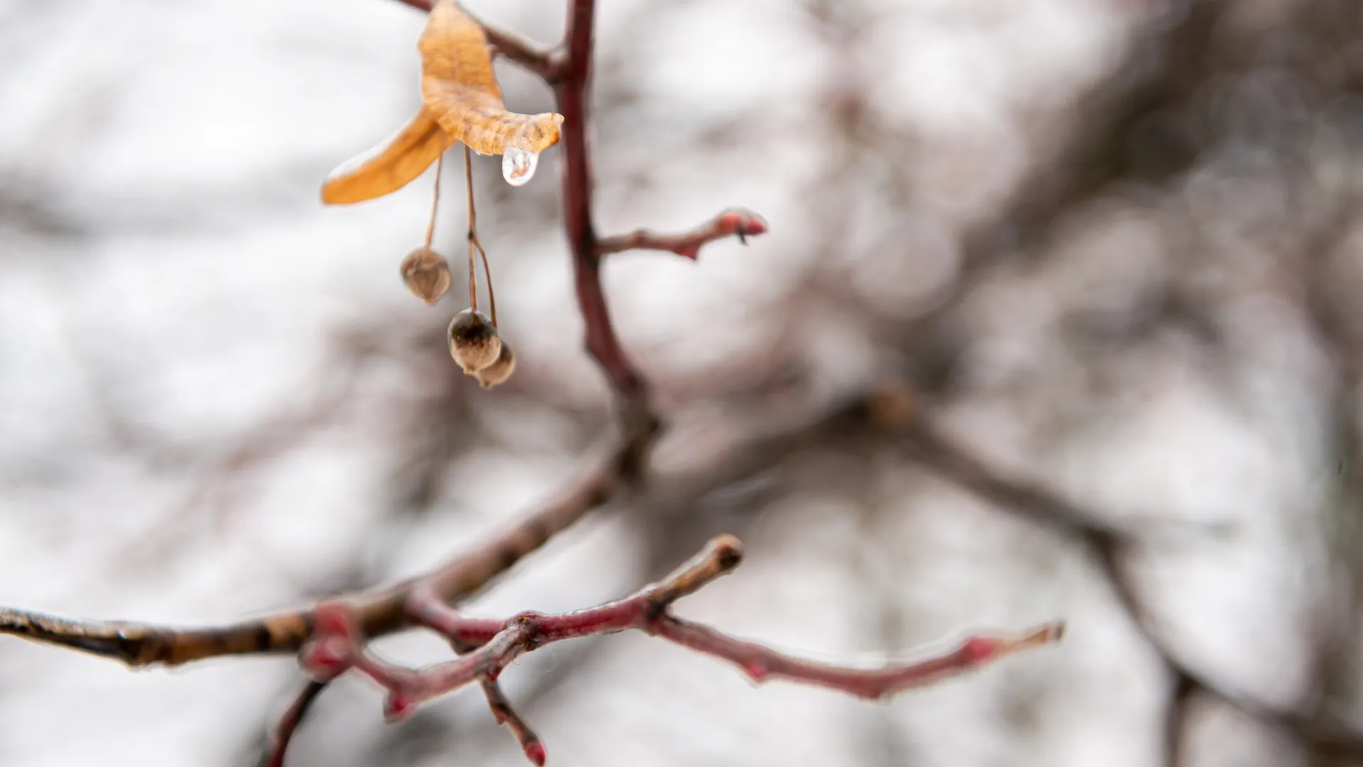 медиасток.рф