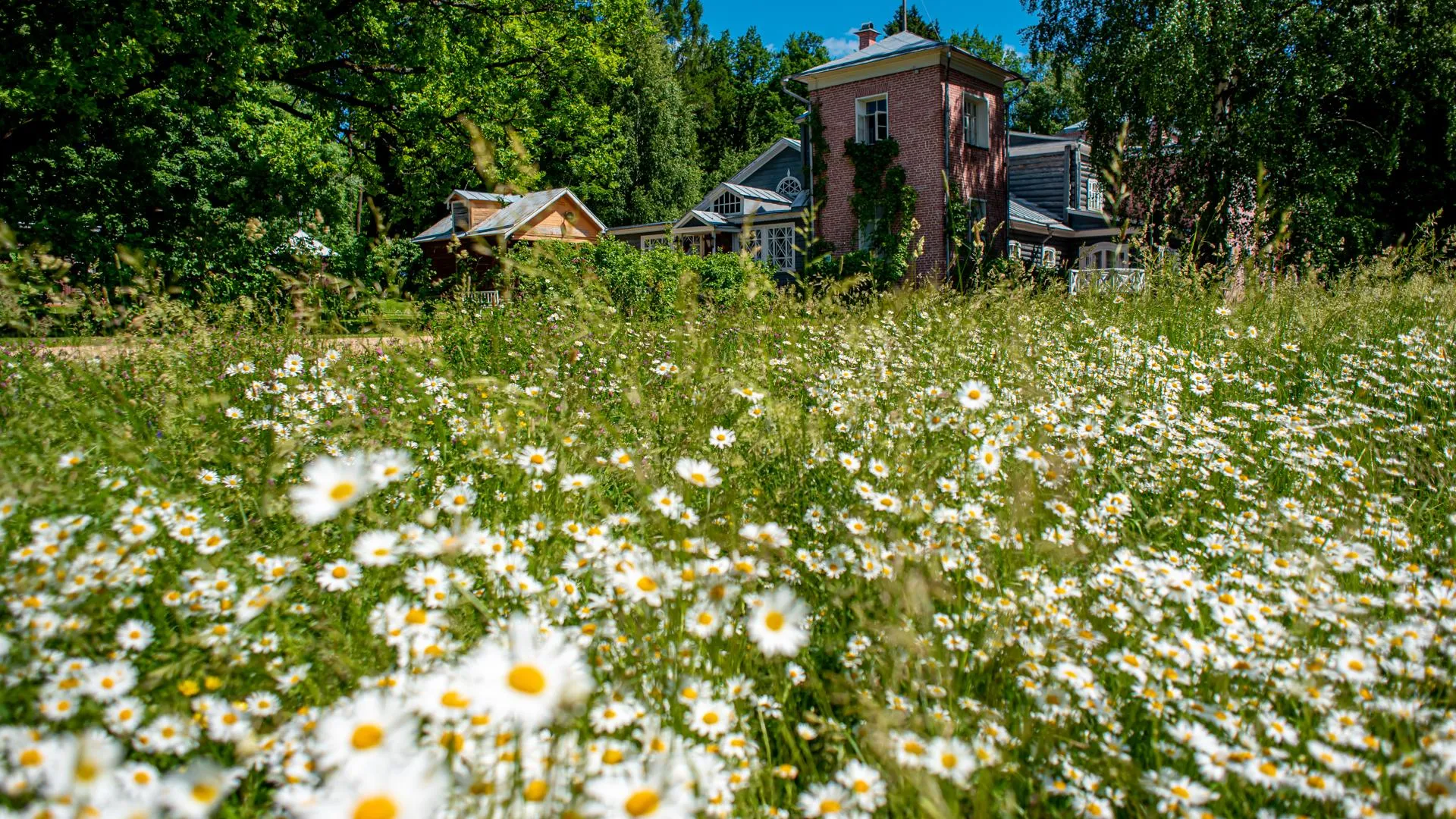 Фото: мемориально-художественный музей-заповедник «Усадьба «Мураново»