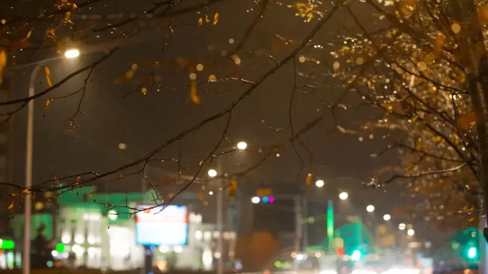 Фото: Министерство благоустройства Московской области