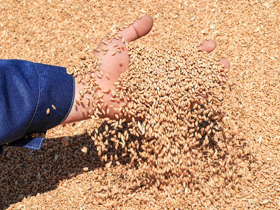 Фото: ТАСС/Дмитрий Рогулин