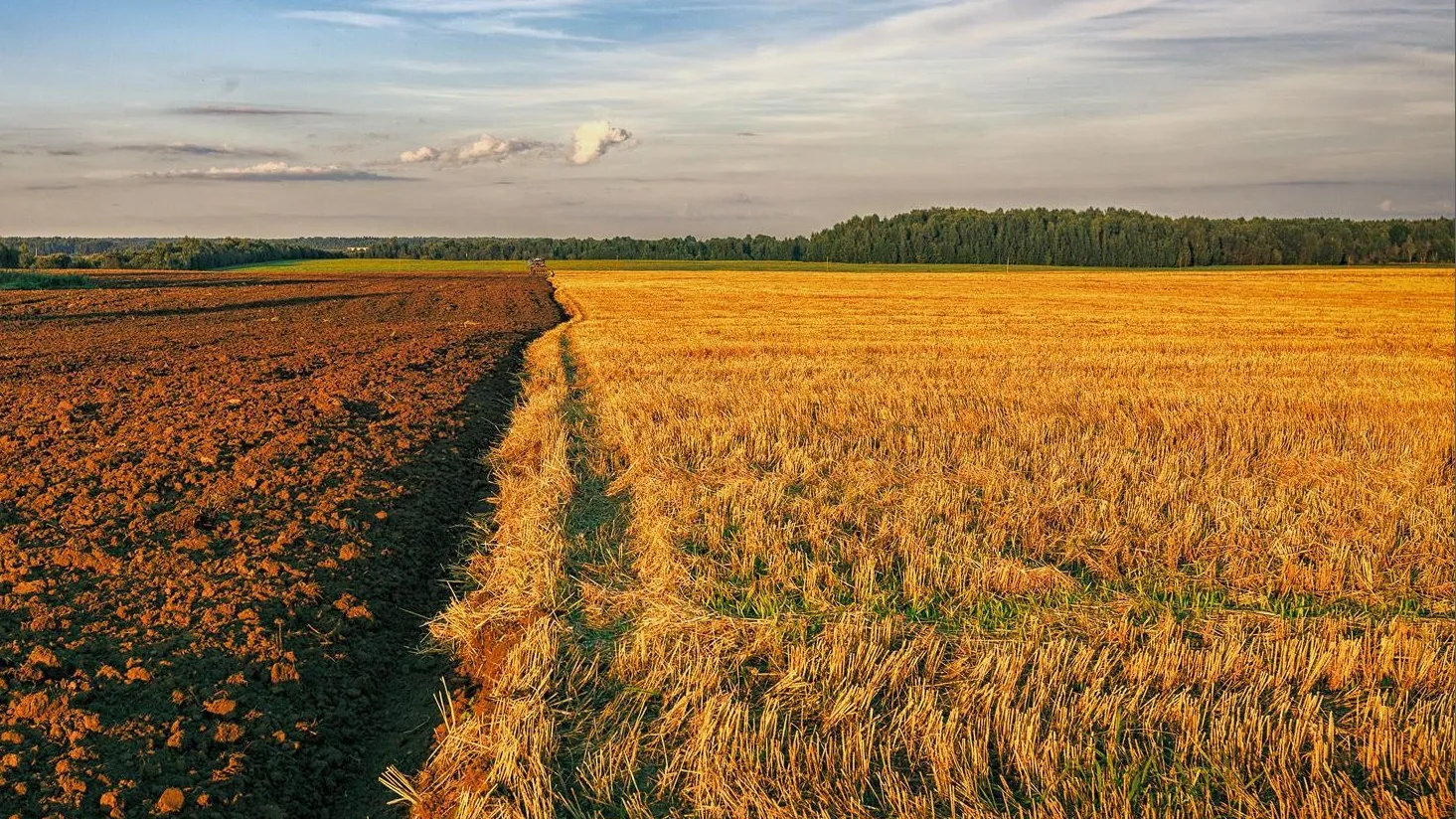 Фото: пресс-служба Минсельхозпрода МО
