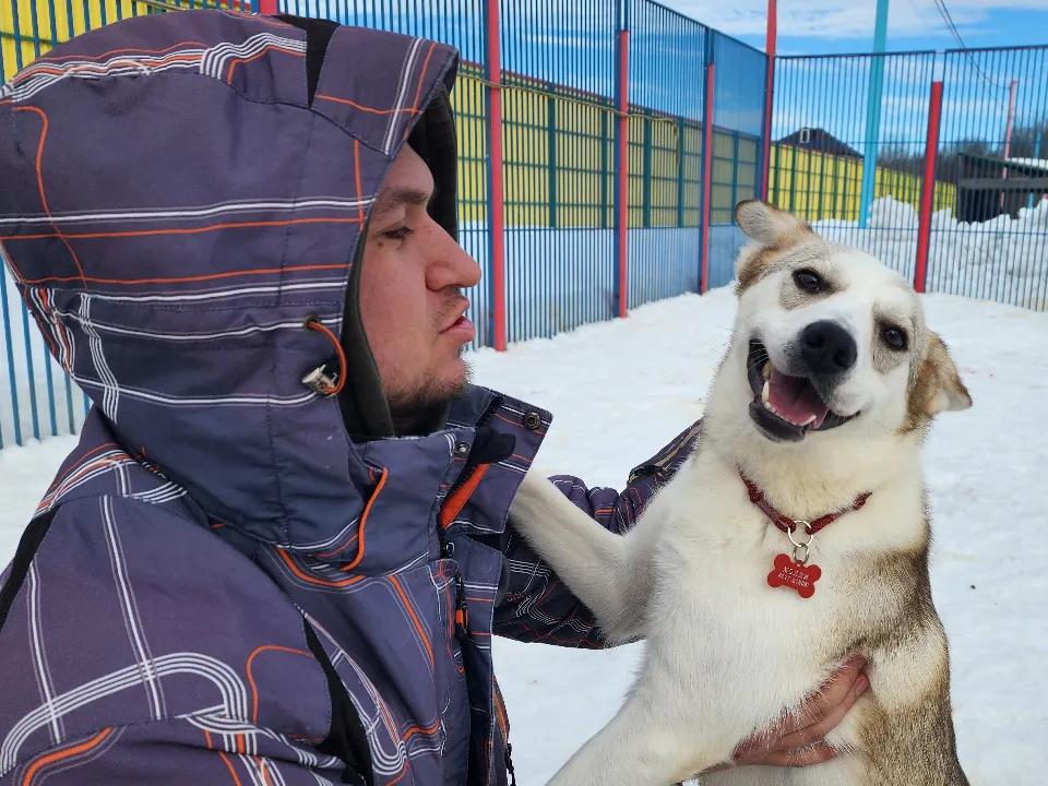 Фото: МедиаБанк Подмосковья/Валентина Максимова