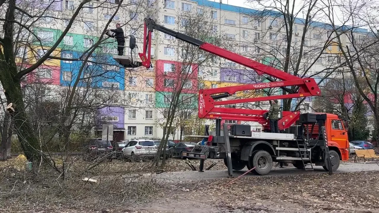 Ксения Казакова