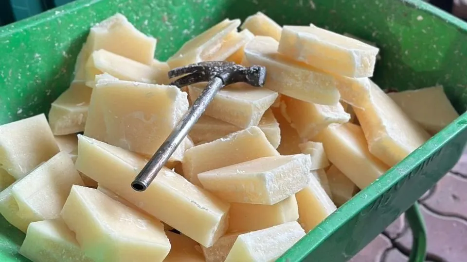 Фото: БФ «Домашний очаг»