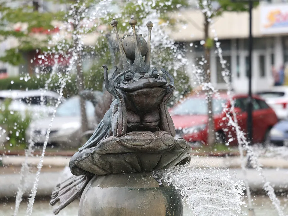 Фото: Ольга Пятикрестовская