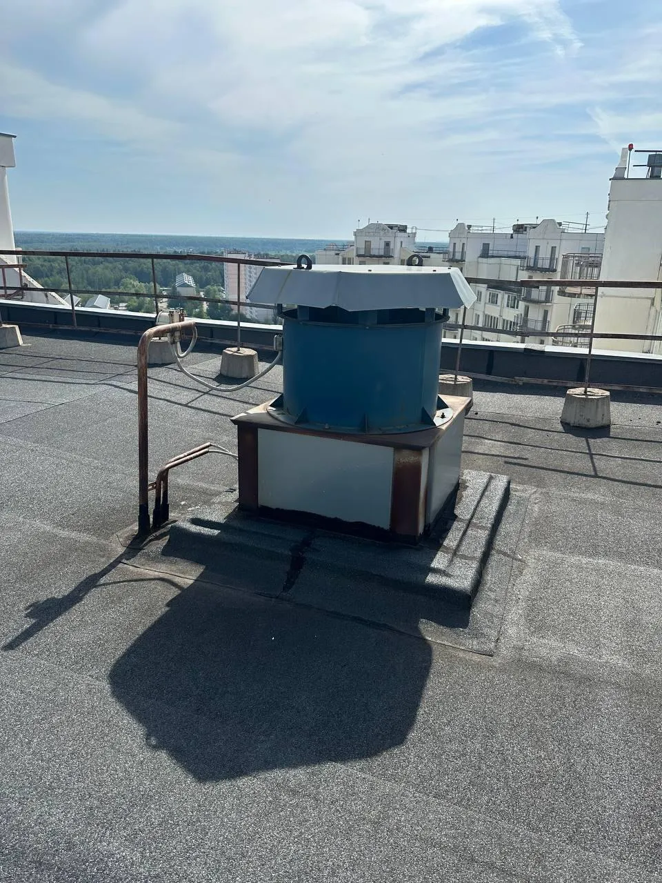 Фото: Администрация г. о. Лобня