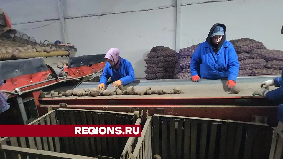 Фото: REGIONS/Валерий Гореловский