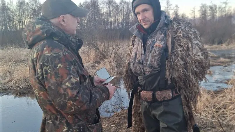 Фото: Комитет лесного хозяйства МО