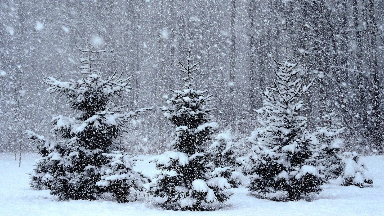 Фото fs1.fotoload.ru