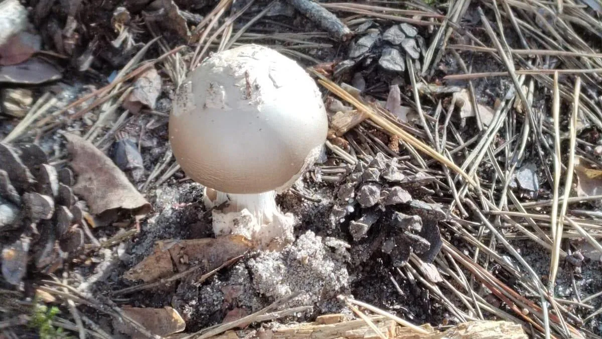 Фото: Анна Мороз